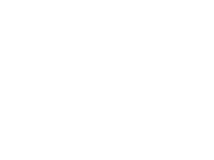 Logo_Brother_France